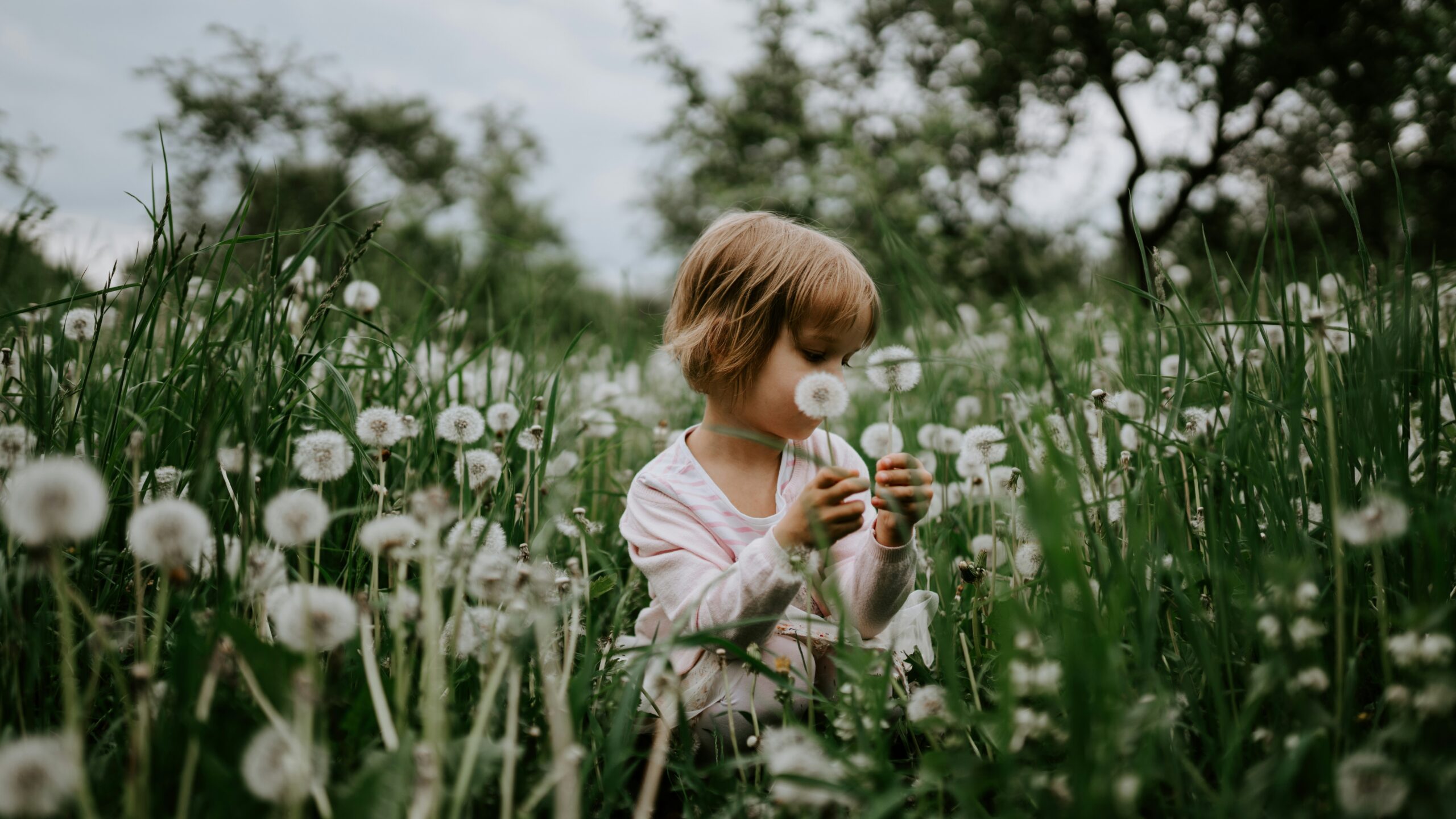 The Aspirational Values of a Contemplative.