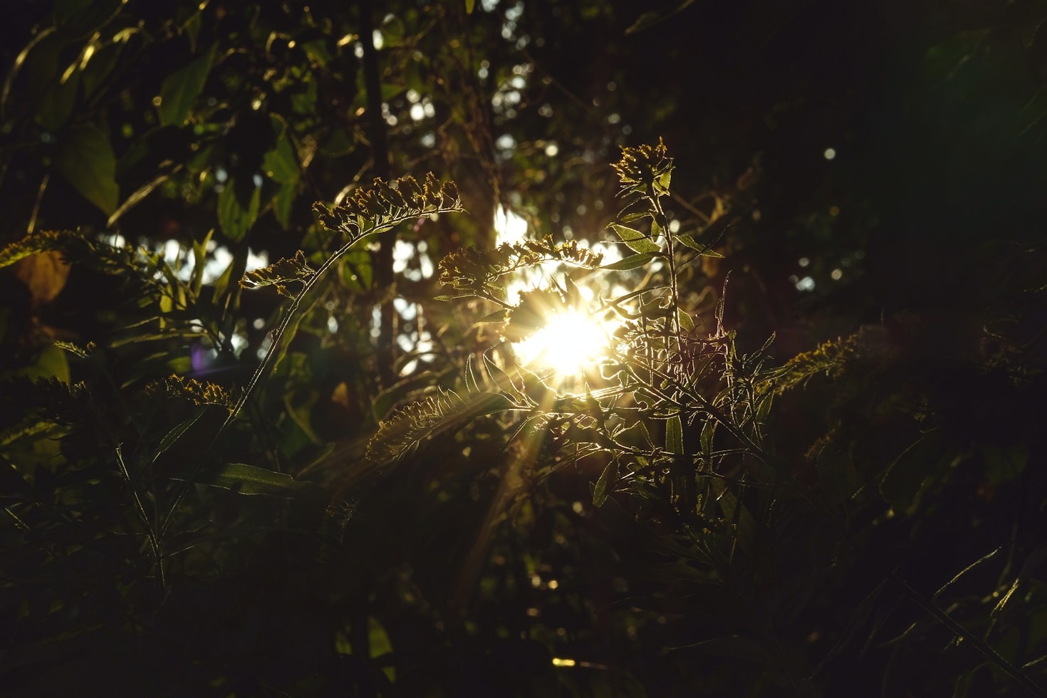 Why we need a modern Contemplative movement.